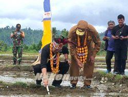 Mentan Syahrul Yasin Limpo Kagumi Kesuburan Tanah di Manokwari