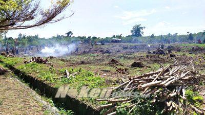 Pemprov Papua Barat Siapkan Kebun Pangan Susweni 43 Ha